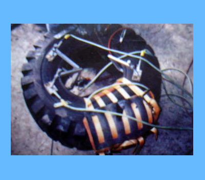 (bio)}򻯵Ķ݆̥ xΔ(sh)5619